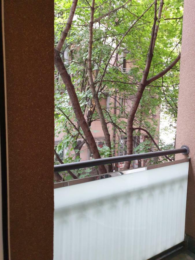 Metropol Lux Apartment Belgrade Vracar Kültér fotó